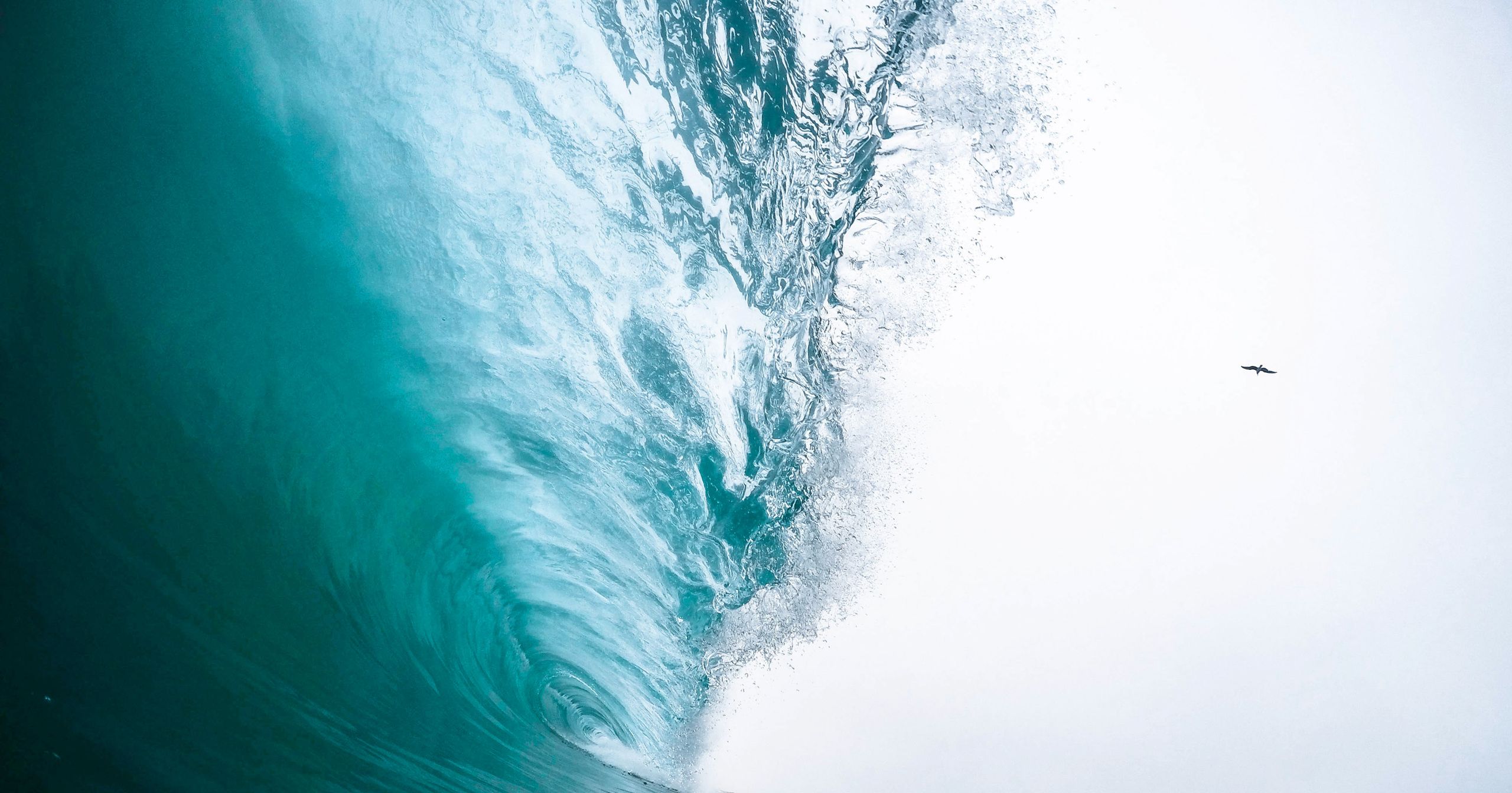 Opening image background: waves sliding